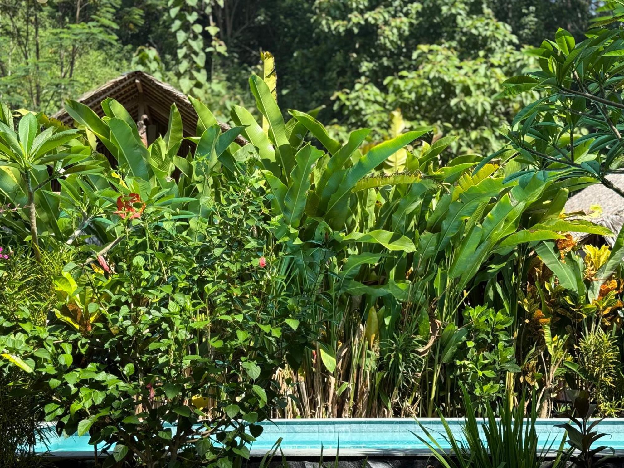 Batukaras Rnv Eco Resort Bungalows المظهر الخارجي الصورة