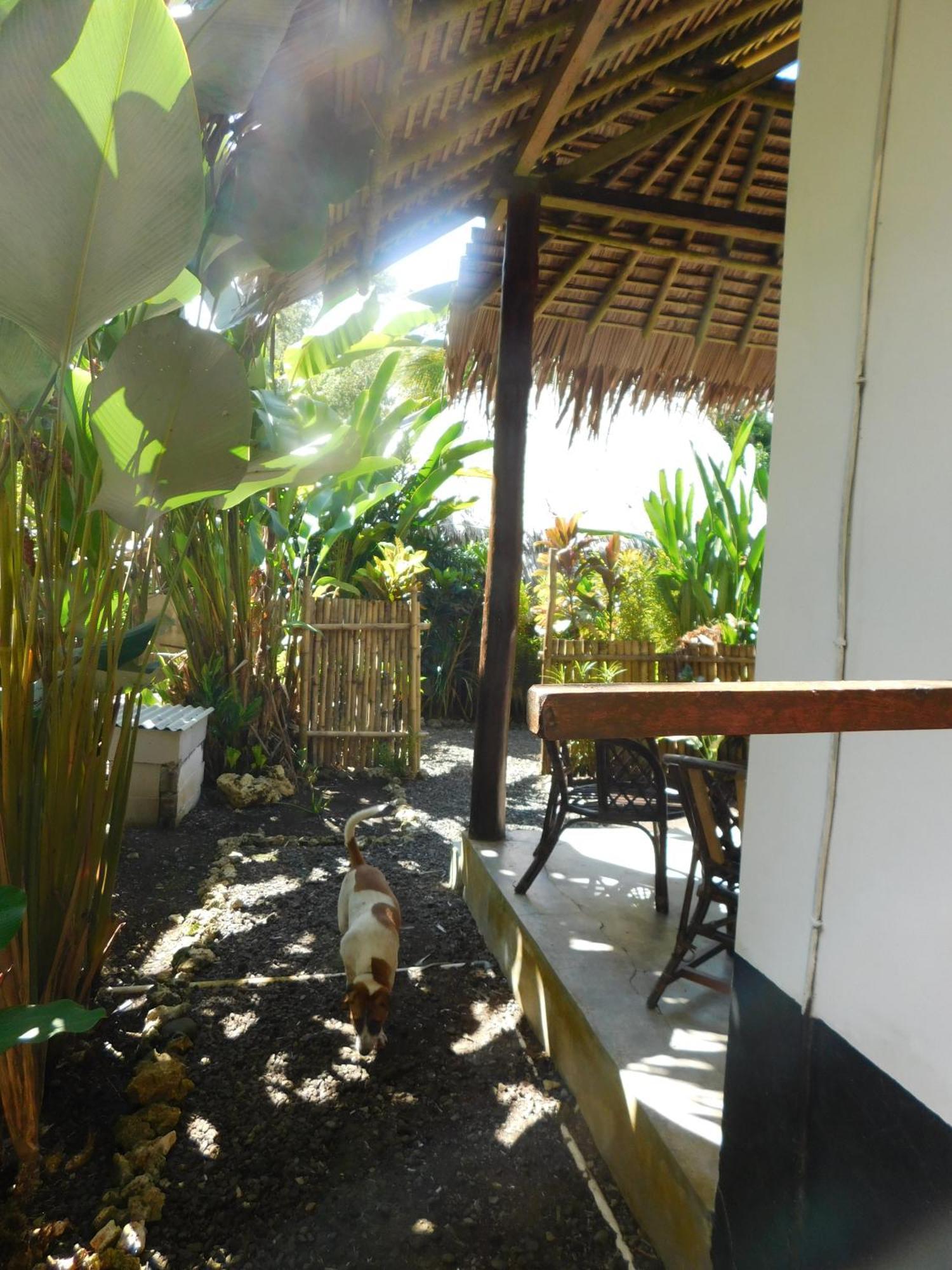 Batukaras Rnv Eco Resort Bungalows المظهر الخارجي الصورة